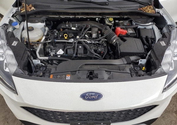 Ford Escape cena 56000 przebieg: 12294, rok produkcji 2022 z Kosów Lacki małe 67